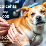 Kutyás mikrochip beültetés állatorvosi rendelőben.