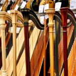 Különböző hárfák egy hangszerüzletben.