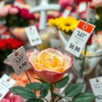 Színes rózsák és árjegyzék egy virágboltban