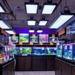 Akváriumi világítás rendszerek bemutatója boltban.