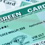 Zöldkártya és biztosítási díjak