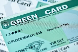 Zöldkártya és biztosítási díjak