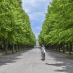 Férfi kerékpározik zöld fákkal szegélyezett úton